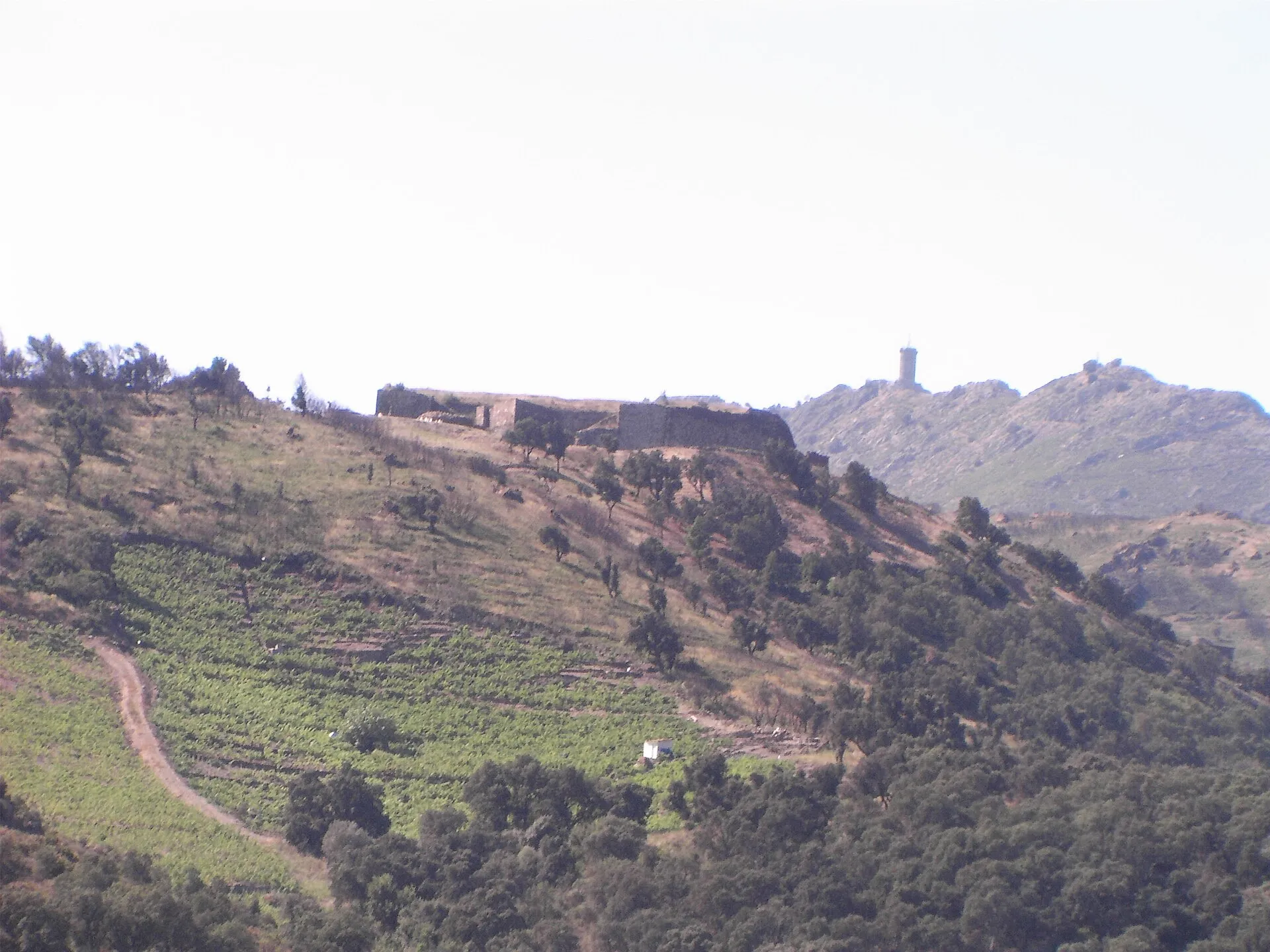 Collioure